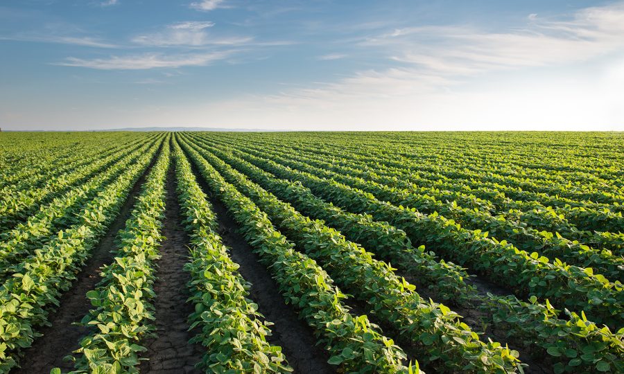 School of Agricultural Sciences and Technology